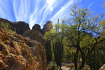 photo thumbnail #6