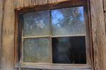 recent photo