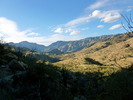 photo thumbnail #7