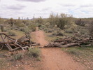 photo thumbnail #1