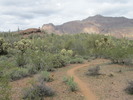 photo thumbnail #2