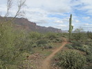 photo thumbnail #5