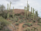 photo thumbnail #7