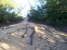 photo thumbnail #12