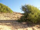 photo thumbnail #14