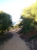 photo thumbnail #13