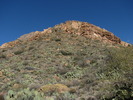 photo thumbnail #3