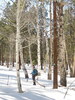 photo thumbnail #5