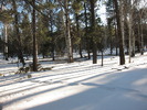 photo thumbnail #9