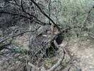 photo thumbnail #2