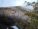photo thumbnail #14