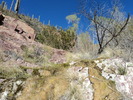 Featured Full Photo