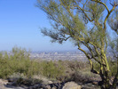 photo thumbnail #8