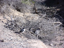 photo thumbnail #14