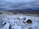 photo thumbnail #1
