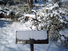 photo thumbnail #4