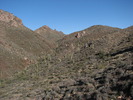 photo thumbnail #5