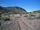 photo thumbnail #1