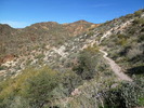 photo thumbnail #6