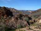 photo thumbnail #7