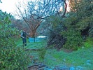 photo thumbnail #6