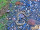 photo thumbnail #10
