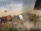 photo thumbnail #3