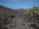 photo thumbnail #8