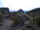 photo thumbnail #9