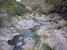 photo thumbnail #11