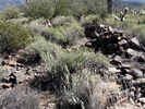 photo thumbnail #3