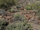 photo thumbnail #5