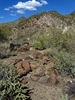 photo thumbnail #6