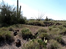 photo thumbnail #11