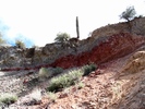 photo thumbnail #13