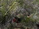 photo thumbnail #15