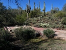 photo thumbnail #10