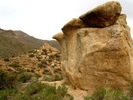 photo thumbnail #10