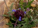 photo thumbnail #13