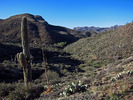 photo thumbnail #2