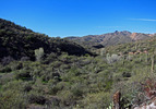 photo thumbnail #7