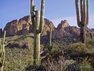 photo thumbnail #4