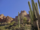 photo thumbnail #5