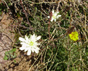 photo thumbnail #15