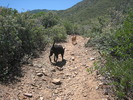 photo thumbnail #3