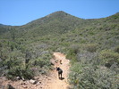 photo thumbnail #4