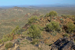 photo thumbnail #3