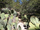 photo thumbnail #5