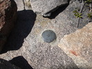 photo thumbnail #11