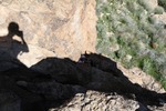 photo thumbnail #5